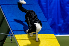 2023-June-AADTC-Trial-975