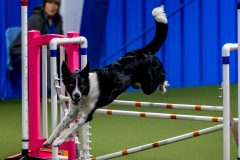 2023-June-AADTC-Trial-977