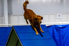 2023-June-AADTC-Trial-978