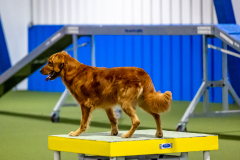 2023-June-AADTC-Trial-979