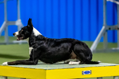 2023-June-AADTC-Trial-983