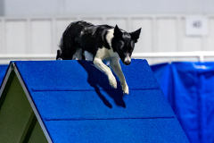 2023-June-AADTC-Trial-984