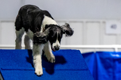 2023-June-AADTC-Trial-986