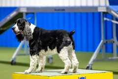 2023-June-AADTC-Trial-987