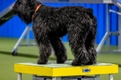 2023-June-AADTC-Trial-991