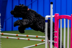 2023-June-AADTC-Trial-992