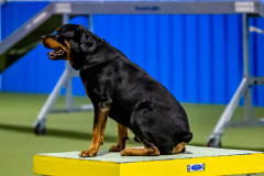 2023-June-AADTC-Trial-995