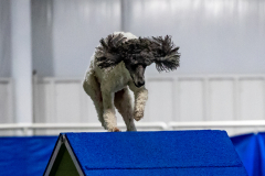 2023-June-AADTC-Trial-997