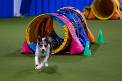 2023-Angie-Benacquisto-Pt-2-543