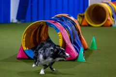 2023-Angie-Benacquisto-Pt-2-545