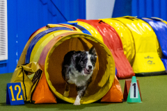 2023-Angie-Benacquisto-Pt-2-547