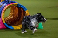 2023-Angie-Benacquisto-Pt-2-550