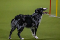 2023-Angie-Benacquisto-Pt-2-553