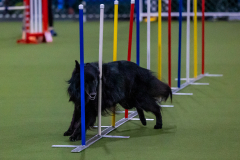 2023-Angie-Benacquisto-Pt-2-559