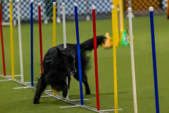 2023-Angie-Benacquisto-Pt-2-563