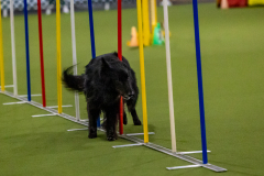 2023-Angie-Benacquisto-Pt-2-564