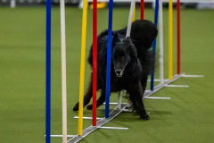 2023-Angie-Benacquisto-Pt-2-570