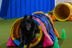 2023-Angie-Benacquisto-Pt-2-573