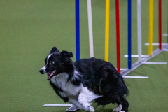 2023-Angie-Benacquisto-Pt-2-580