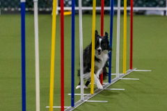 2023-Angie-Benacquisto-Pt-2-585