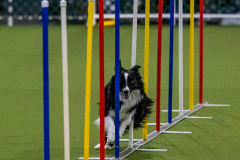 2023-Angie-Benacquisto-Pt-2-586