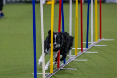 2023-Angie-Benacquisto-Pt-2-591