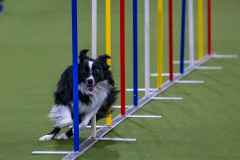 2023-Angie-Benacquisto-Pt-2-592