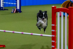 2023-Angie-Benacquisto-Pt-2-593