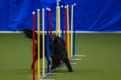 2023-Angie-Benacquisto-Pt-2-597