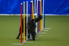 2023-Angie-Benacquisto-Pt-2-598