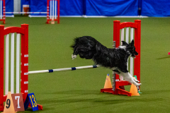 2023-Angie-Benacquisto-Pt-2-607