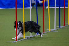 2023-Angie-Benacquisto-Pt-2-611