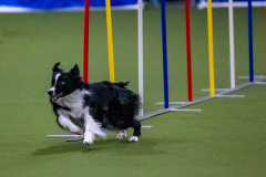 2023-Angie-Benacquisto-Pt-2-612