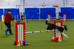 2023-Angie-Benacquisto-Pt-2-617