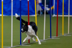 2023-Angie-Benacquisto-Pt-2-618