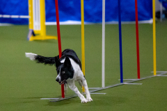 2023-Angie-Benacquisto-Pt-2-620