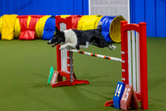 2023-Angie-Benacquisto-Pt-2-621