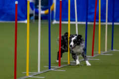 2023-Angie-Benacquisto-Pt-2-623