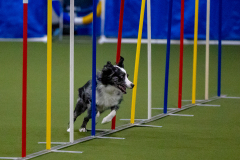 2023-Angie-Benacquisto-Pt-2-624