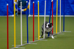 2023-Angie-Benacquisto-Pt-2-625