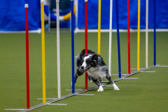 2023-Angie-Benacquisto-Pt-2-626