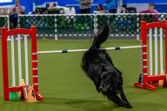 2023-Angie-Benacquisto-Pt-2-636