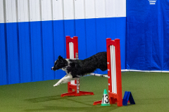 2023-Angie-Benacquisto-Pt-2-643