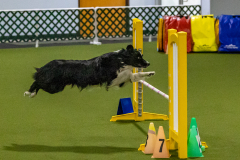 2023-Angie-Benacquisto-Pt-2-644