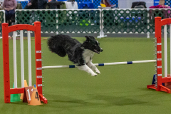 2023-Angie-Benacquisto-Pt-2-646