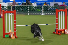 2023-Angie-Benacquisto-Pt-2-651