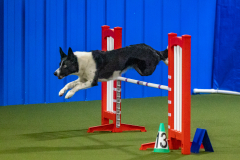 2023-Angie-Benacquisto-Pt-2-652