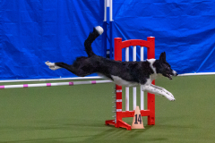 2023-Angie-Benacquisto-Pt-2-654