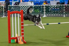 2023-Angie-Benacquisto-Pt-2-659