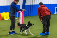 2023-Angie-Benacquisto-Pt-2-661